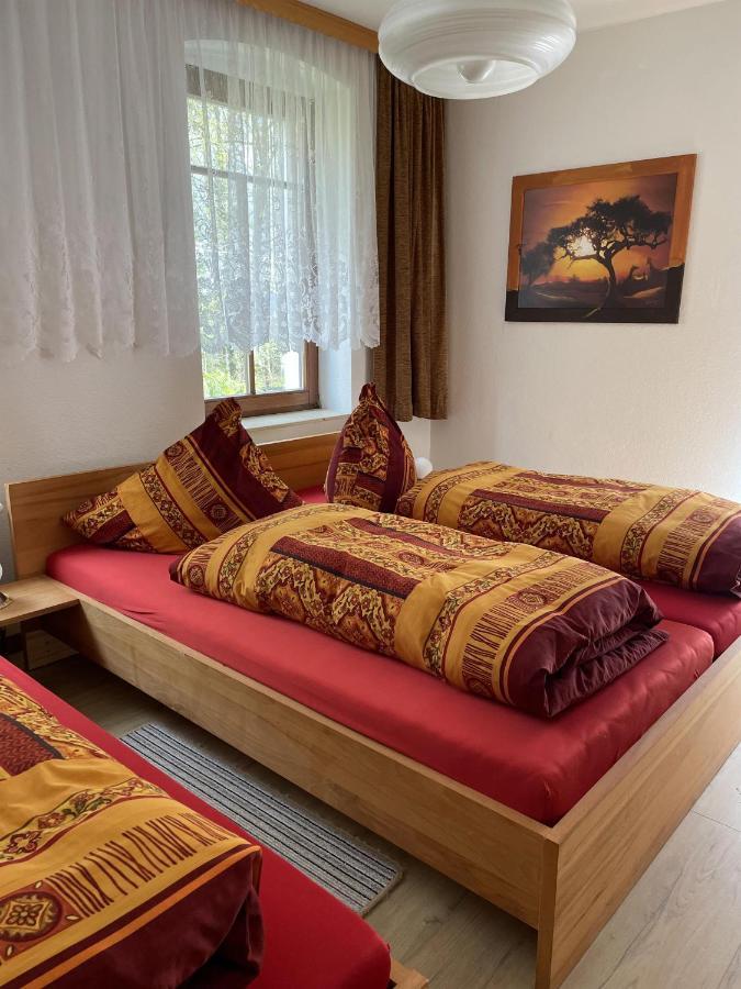Privathaus Wehle Apartment Kurort Gohrisch Ngoại thất bức ảnh